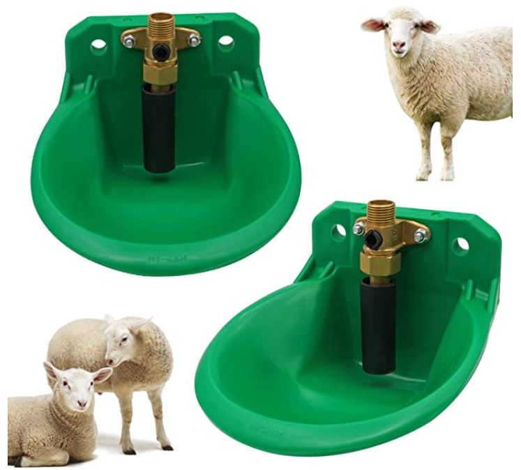 Bebedero Automático Para Ovejas Cabras Con Válvula De Cobre – Envío gratis - ConexNRPetsRocketfyConexNRBebedero Automático Para Ovejas Cabras Con Válvula De Cobre – Envío gratis - ConexNRPetsRocketfyConexNRBebedero Automático Para Ovejas Cabras Con Válvula De Cobre – Envío gratisBE - VERVerdeBebedero Automático Para Ovejas Cabras Con Válvula De Cobre – Envío gratisBE - VERVerdeBebedero Automático Para Ovejas Cabras Con Válvula De Cobre – Envío gratis - ConexNRPetsRocketfyConexNRBebedero Automáti